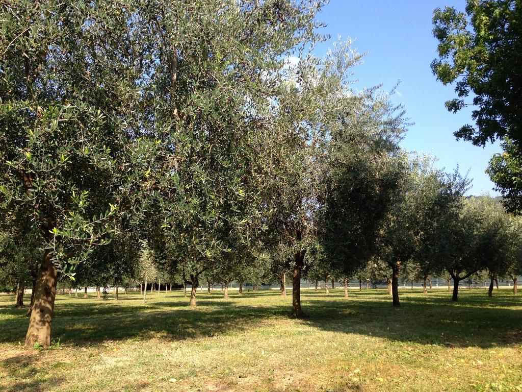 Agriturismo Corte Moranda Verona Dış mekan fotoğraf